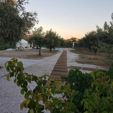 Oliveira Country House Figueira e Barros Extérieur photo