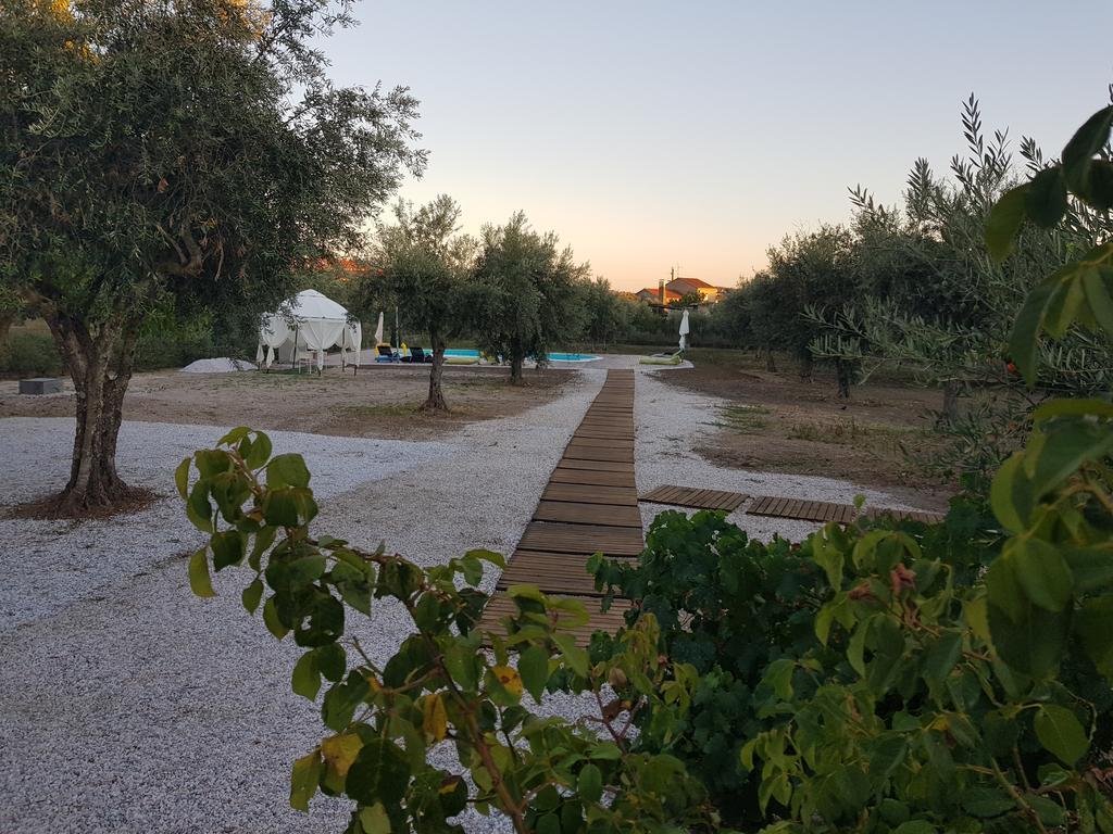 Oliveira Séjour à la campagne